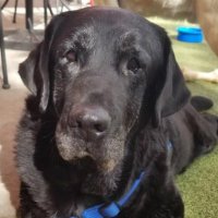 Birddog Actual (@birddogactual87) 's Twitter Profile Photo Birddog Actual (@birddogactual87) 's Twitter Profile Photo