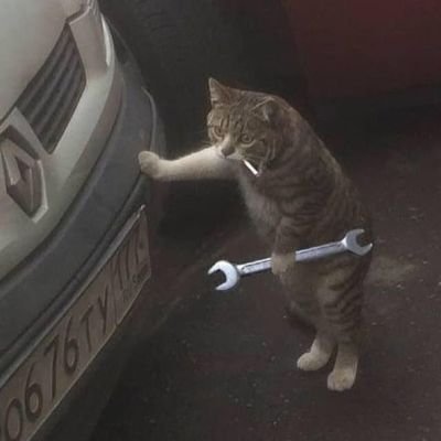 Ugbodume_cross's profile picture. Part of the @DataHaven_xyz community