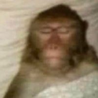 santi (@deezblehh) 's Twitter Profile