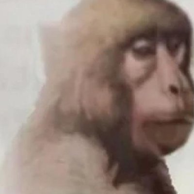 guralouさんのプロフィール画像