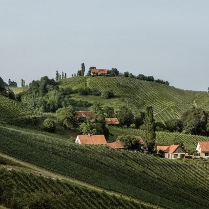 ESPRONOM's profile picture. 