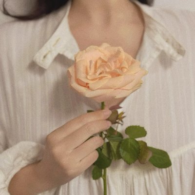 Bella987410's profile picture. Mood: Travel. Sound: Music. Genre: Adventure. 💼🎶📖