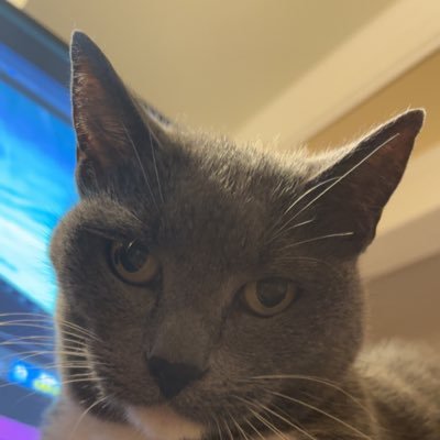 Andoooby's profile picture. 23| Hockey, writing, and more