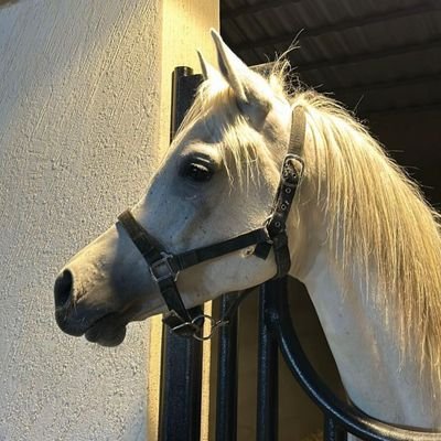 خروج بعض الأشخاص من حياتنا ،
مسألة تطهير لِلعُمر المُتبقي لا أكثر .