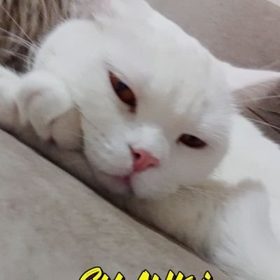 denizooox's profile picture. çiçekler ve bennn