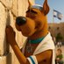 Scooby ✡️ (@scoobyjewisrael) Twitter profile photo Scooby ✡️ (@scoobyjewisrael) Twitter profile photo