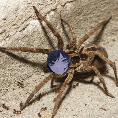 Inspired by @Teto4Fortnite and because Ado isn't coming after one of her songs were on the ch6 trailer
main account: @Tsuyu_isaac