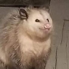 Unknown06394854's profile picture. 20 years old - not much else