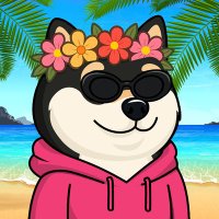 Krypton King ADD+ (@kingk52861) 's Twitter Profile