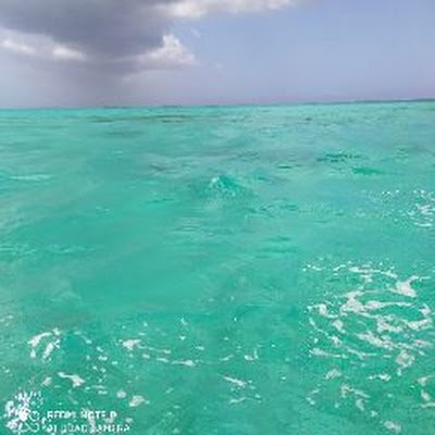 oneview666's profile picture. $ donations only