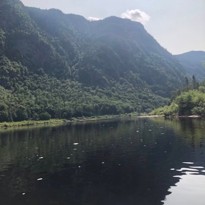 maga_qc22's profile picture. Fier Québécois ⚜️🇲🇶 🇨🇦