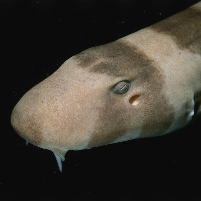 Kenny1316946177's profile picture. 📺💌