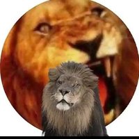 فرز الهامور🐣🔥🐣🔥 (@arra7r) 's Twitter Profile