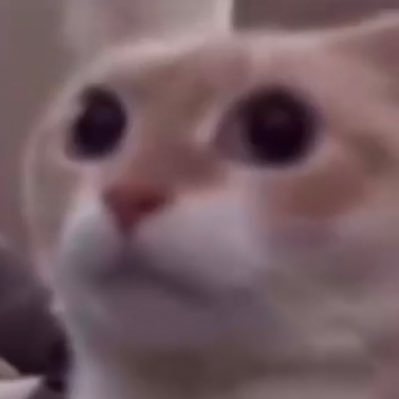 whycantthisend's profile picture. 