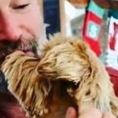 collinsmonger11's profile picture. All our dreams can come true, if we have the courage to pursue them💯