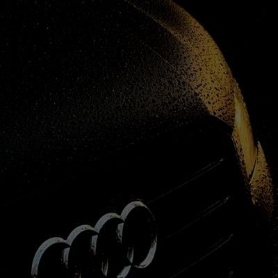 lungarolly's profile picture. 