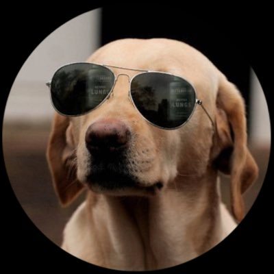 STEM PhD dropout / $crypto-trading dog 🐕 started mining #bitcoin in 2011. Investor / market commentator. Yeezy over everything.