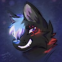 Nyx🔜MP (@nyx_the_fluff) 's Twitter Profile Photo Nyx🔜MP (@nyx_the_fluff) 's Twitter Profile Photo