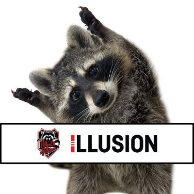 LOLQ Creator | CRAZY RACCOON OW Partner Co-streamer |
YouTube: ILLUSION 일루전 | SOOP: 일루전_ | CHZZK: 일루전입니다
