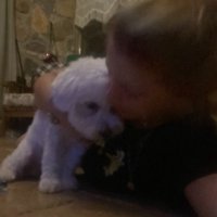 sj (@juliaseselino) 's Twitter Profile
