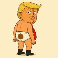 ProofOfTrump (@proofoftrumpsol) 's Twitter Profile