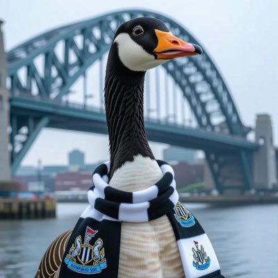NUFC Season Ticket holder. Plenty of opinions, usually wrong. The national anthem is actually about Eddie Howe.