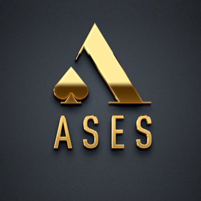 Desarrollo estratégico para Empresas,Consejos Directivos,Profesionales y Negocios 📲+1 829 945 7505. 📩negocios@ases.global