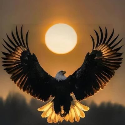 TOOJAH6's profile picture. 