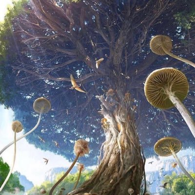 PROFESSIONAL Grower & Vendor of Psychedelic Products, Mushroom🍄, Spores 💉 🍄LSD DMT🌈☀️ 🍄Chocolate Bars🍄🍫..🍄 Micro dose💊