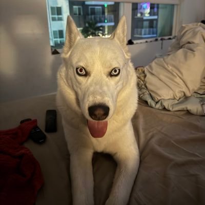 AhlekLewis's profile picture. 