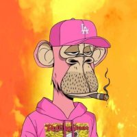 Opzzy.web3_wizard (@akatsuki_defi) 's Twitter Profile