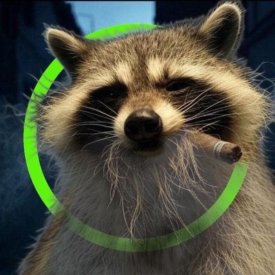 premomarshall's profile picture. I type like a drunk and own it !
8)