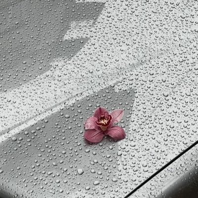 lllld_11's profile picture. يهوّنها الله من سابع سماء لا تحزن