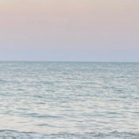 Sunay (@a_sny_) 's Twitter Profile