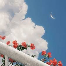 ReynaCuy's profile picture. 