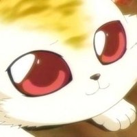 柴ぬっこ🐾 (@siba_nukko) Twitter profile photo