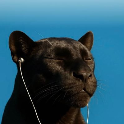 Tickreddy's profile picture. Futures Trader.