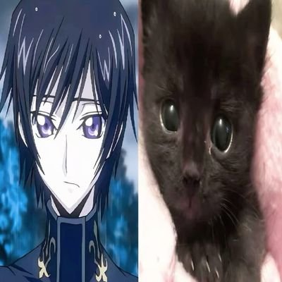 kxlxzzz's profile picture. A$AP.
hoy la noche empezó temprano.