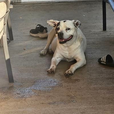 mwanton96's profile picture. married