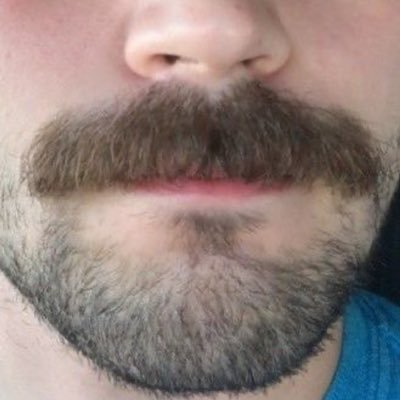 lafbox14's profile picture. 