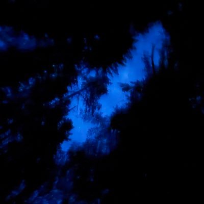 did_not_plant's profile picture. 