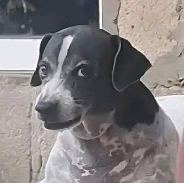 Olliieex's profile picture. 