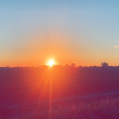 GradyNeilson10's profile picture. class of 2029 minico high school  linebacker,weight  140, bench 185 squat 315