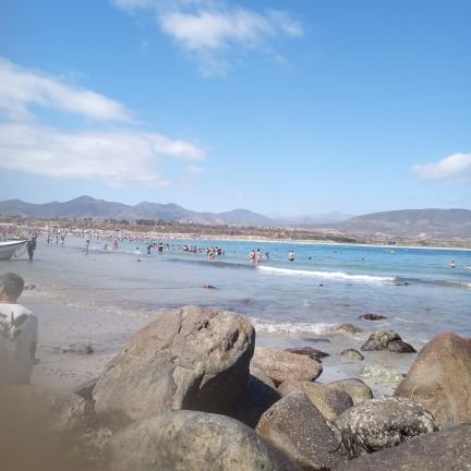 Alexand10822945's profile picture. 