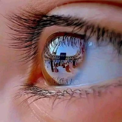 islahikamite@gmail.com Profile
