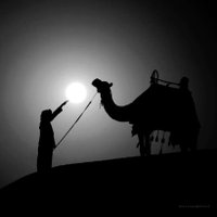 حاكم (@658ccg) 's Twitter Profile