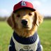My name is Larry (@larryinthelou) Twitter profile photo My name is Larry (@larryinthelou) Twitter profile photo