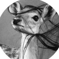 نقطة (@n_a8900) 's Twitter Profile