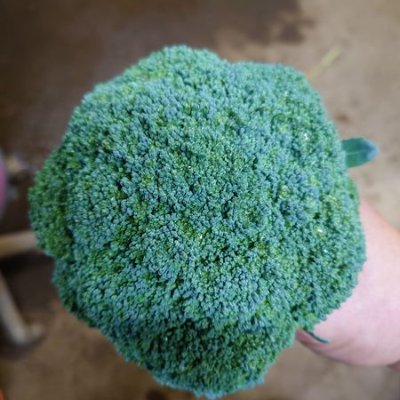 komo7621712's profile picture. あなたが本当に自分を愛していれば、他の人を傷つけることは決してありません。」 「人は賢いとは呼ばれません。 彼は話したり話したりしますが、彼が平和で、愛情深く、恐れを知らないのであれば、彼は賢明と呼ばれます。」
福島県田村市の吉本ひな子と申します。