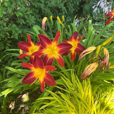 ExploreSpeed's profile picture. Dig it